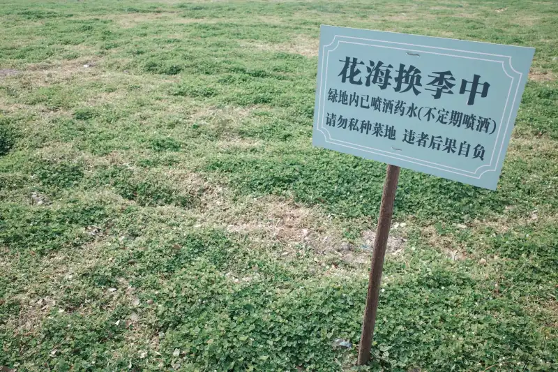 企业短视频制作成本构成及2024年重庆市场价格参考