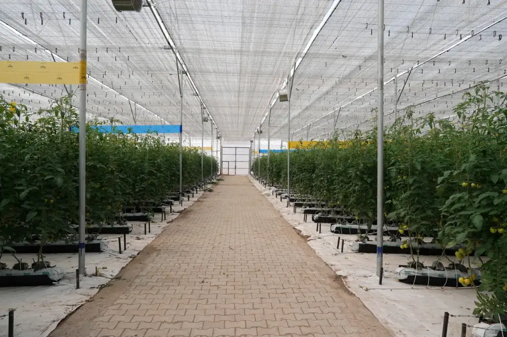 短视频与广告片拍摄如何选？企业品牌影像制作的类型对比与适用场景